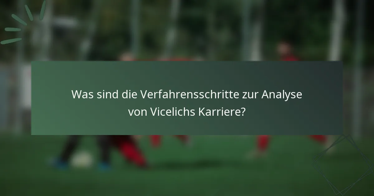 Was sind die Verfahrensschritte zur Analyse von Vicelichs Karriere?